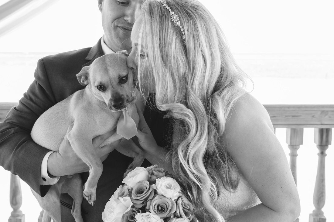 dog part of the wedding Picture