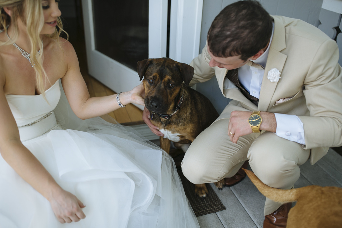 Weddings By Romi, Key West wedding photography, key west wedding photographer, destination wedding, dogs at the wedding, 