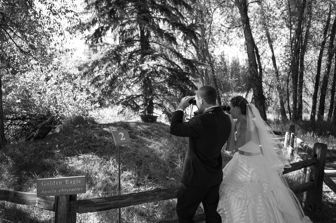 Aspen wedding picture, country wedding, destination wedding, 