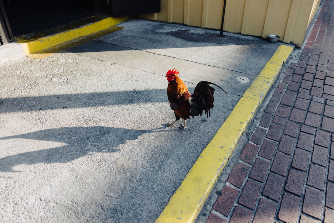 Key West wedding photographers Picture